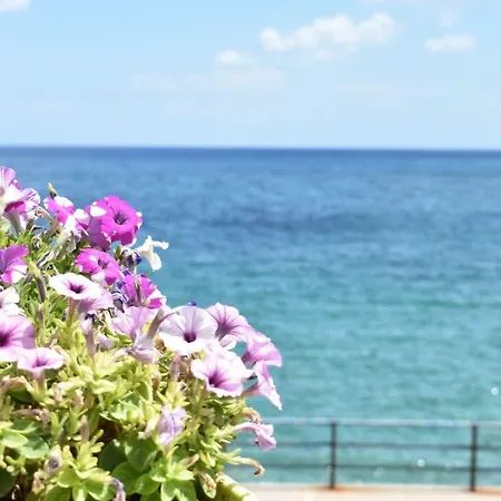 Sea-esta